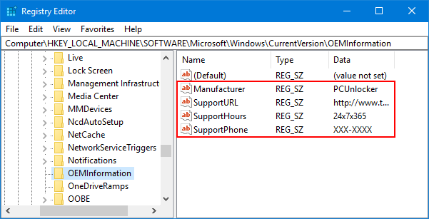 OEM-support-registry-values